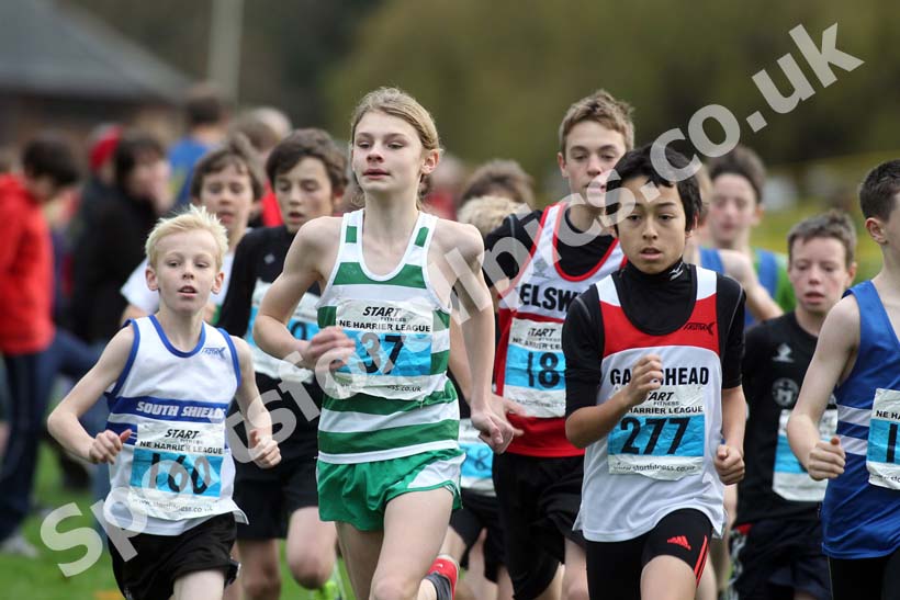 Blue start, North East Harrier League.